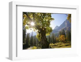 Ahornboden, Karwendel Mountains, Austria-Alfons Rumberger-Framed Photographic Print