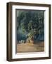 Ahuehuete Tree-Johann Moritz Rugendas-Framed Giclee Print