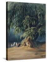 Ahuehuete Tree-Johann Moritz Rugendas-Stretched Canvas