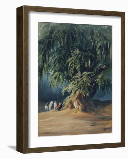 Ahuehuete Tree-Johann Moritz Rugendas-Framed Giclee Print