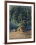 Ahuehuete Tree-Johann Moritz Rugendas-Framed Giclee Print