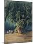 Ahuehuete Tree-Johann Moritz Rugendas-Mounted Giclee Print