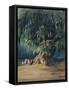 Ahuehuete Tree-Johann Moritz Rugendas-Framed Stretched Canvas