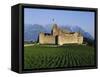 Aigle Chateau and Vineyard, Near Lac Leman, Switzerland-Adina Tovy-Framed Stretched Canvas