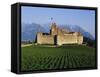 Aigle Chateau and Vineyard, Near Lac Leman, Switzerland-Adina Tovy-Framed Stretched Canvas