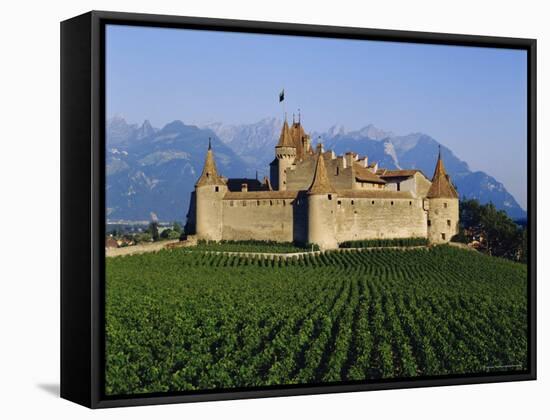 Aigle Chateau and Vineyard, Near Lac Leman, Switzerland-Adina Tovy-Framed Stretched Canvas