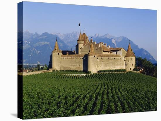 Aigle Chateau and Vineyard, Near Lac Leman, Switzerland-Adina Tovy-Stretched Canvas