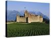 Aigle Chateau and Vineyard, Near Lac Leman, Switzerland-Adina Tovy-Stretched Canvas