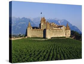 Aigle Chateau and Vineyard, Near Lac Leman, Switzerland-Adina Tovy-Stretched Canvas