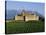 Aigle Chateau and Vineyard, Near Lac Leman, Switzerland-Adina Tovy-Stretched Canvas