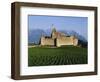 Aigle Chateau and Vineyard, Near Lac Leman, Switzerland-Adina Tovy-Framed Photographic Print