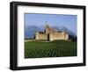 Aigle Chateau and Vineyard, Near Lac Leman, Switzerland-Adina Tovy-Framed Photographic Print