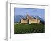 Aigle Chateau and Vineyard, Near Lac Leman, Switzerland-Adina Tovy-Framed Photographic Print