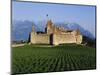 Aigle Chateau and Vineyard, Near Lac Leman, Switzerland-Adina Tovy-Mounted Photographic Print