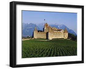 Aigle Chateau and Vineyard, Near Lac Leman, Switzerland-Adina Tovy-Framed Photographic Print