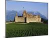Aigle Chateau and Vineyard, Near Lac Leman, Switzerland-Adina Tovy-Mounted Photographic Print