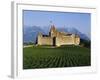 Aigle Chateau and Vineyard, Near Lac Leman, Switzerland-Adina Tovy-Framed Photographic Print