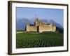 Aigle Chateau and Vineyard, Near Lac Leman, Switzerland-Adina Tovy-Framed Photographic Print