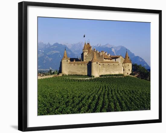 Aigle Chateau and Vineyard, Near Lac Leman, Switzerland-Adina Tovy-Framed Photographic Print