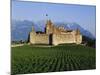 Aigle Chateau and Vineyard, Near Lac Leman, Switzerland-Adina Tovy-Mounted Photographic Print