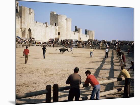 Aigues Mortes, Camargue, Provence, France-Walter Rawlings-Mounted Photographic Print