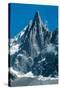 Aiguille du Dru Mont-Blanc-null-Stretched Canvas