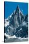 Aiguille du Dru Mont-Blanc-null-Stretched Canvas