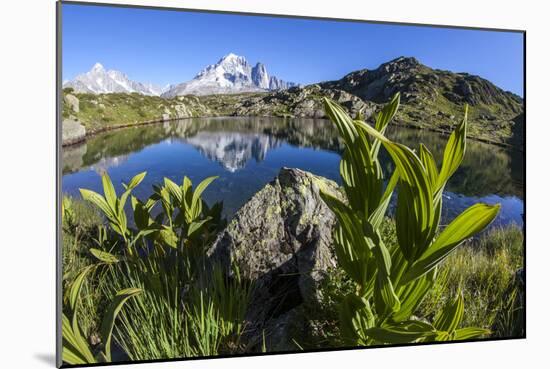 Aiguille Verte from Lac Des Cheserys, Haute Savoie, French Alps, France-Roberto Moiola-Mounted Photographic Print
