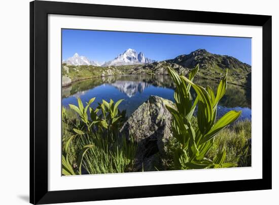 Aiguille Verte from Lac Des Cheserys, Haute Savoie, French Alps, France-Roberto Moiola-Framed Photographic Print