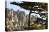 Aiguilles De Bavella Peaks, La Alta Rocca, Corsica, France-Walter Bibikow-Stretched Canvas