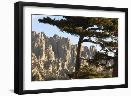 Aiguilles De Bavella Peaks, La Alta Rocca, Corsica, France-Walter Bibikow-Framed Photographic Print