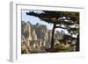 Aiguilles De Bavella Peaks, La Alta Rocca, Corsica, France-Walter Bibikow-Framed Photographic Print