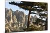 Aiguilles De Bavella Peaks, La Alta Rocca, Corsica, France-Walter Bibikow-Mounted Photographic Print