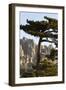 Aiguilles De Bavella Peaks, La Alta Rocca, Corsica, France-Walter Bibikow-Framed Photographic Print