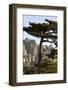 Aiguilles De Bavella Peaks, La Alta Rocca, Corsica, France-Walter Bibikow-Framed Photographic Print