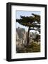 Aiguilles De Bavella Peaks, La Alta Rocca, Corsica, France-Walter Bibikow-Framed Photographic Print