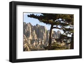 Aiguilles De Bavella Peaks, La Alta Rocca, Corsica, France-Walter Bibikow-Framed Photographic Print