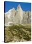 Aiguilles Du Dru, Mont Blanc Range, Chamonix, French Alps, France, Europe-Christian Kober-Stretched Canvas