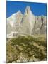 Aiguilles Du Dru, Mont Blanc Range, Chamonix, French Alps, France, Europe-Christian Kober-Mounted Photographic Print