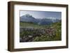 Aiguilles Verte, Grandes Jorasses, Montblanc, Haute-Savoie, France-Rainer Mirau-Framed Photographic Print