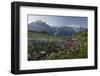 Aiguilles Verte, Grandes Jorasses, Montblanc, Haute-Savoie, France-Rainer Mirau-Framed Photographic Print