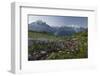 Aiguilles Verte, Grandes Jorasses, Montblanc, Haute-Savoie, France-Rainer Mirau-Framed Photographic Print
