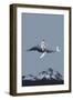 Aim for the moon-Maarten Leon-Framed Giclee Print