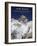 Aim High - Mt Everest Summit-AdventureArt-Framed Photographic Print