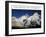 Aim High: Mt Everest-AdventureArt-Framed Premium Photographic Print