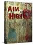 Aim High-Karen Williams-Stretched Canvas