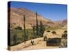 Aimaq Nomad Yurts Near Pal-Kotal-I-Guk, Between Chakhcharan and Jam, Afghanistan-Jane Sweeney-Stretched Canvas