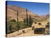 Aimaq Nomad Yurts Near Pal-Kotal-I-Guk, Between Chakhcharan and Jam, Afghanistan-Jane Sweeney-Stretched Canvas