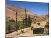 Aimaq Nomad Yurts Near Pal-Kotal-I-Guk, Between Chakhcharan and Jam, Afghanistan-Jane Sweeney-Mounted Photographic Print