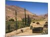 Aimaq Nomad Yurts Near Pal-Kotal-I-Guk, Between Chakhcharan and Jam, Afghanistan-Jane Sweeney-Mounted Photographic Print